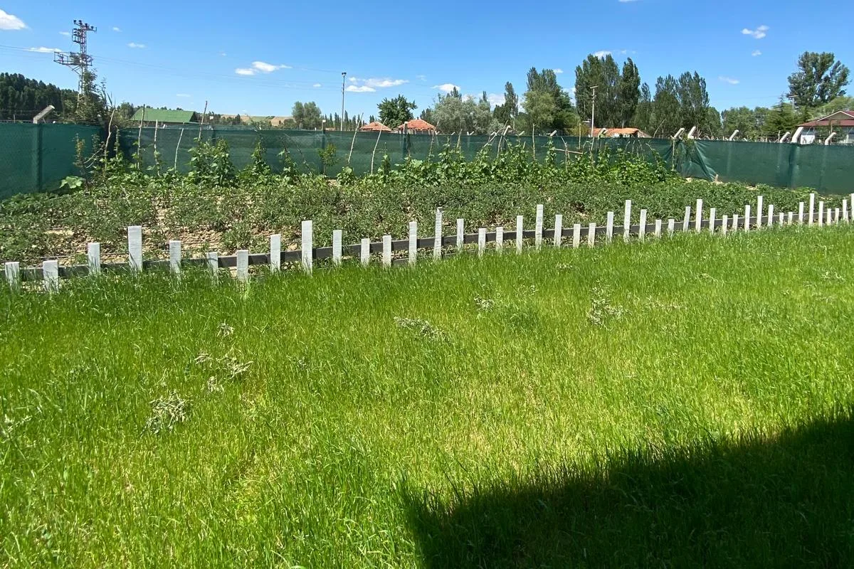 Çim alanı sebzelikten ayıran beyaz bahçe çiti